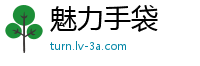 魅力手袋