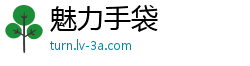 魅力手袋